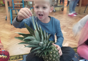 Michał ogląda ananasa