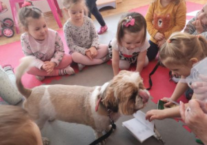 Widok na Kędziora i siedzące wokół niego dzieci. Amelka prezentuje im książeczkę zdrowia psa.
