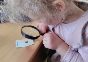 Dziecko siedząc przy stoliku obserwuje przez lupę odcisk swojego kciuka.