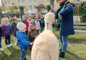 Oskar i Michał gładzą alpakę po sierści. W oddali grupka stojących dzieci.
