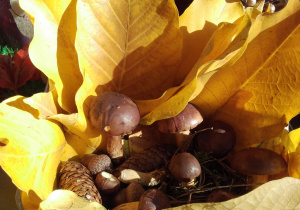 jesienna dekoracja z grzybkami.