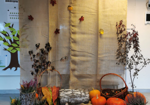 Tło do jesiennych zdjęć: dynie, wrzosy, jesienne liście, koszyki, szyszki, kasztany, itp.