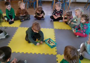 Widok na siedzące w kręgu dzieci oraz sadzonkę sosny. W środku kręgu siedzi Leoś, który przypina do kartonika klamerkę wykonując zadanie matematyczne.