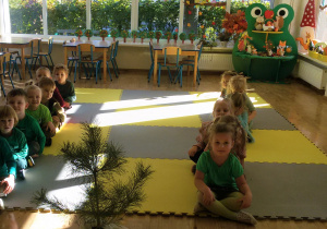 Widok na salę przedszkolną i siedzące, na piankowych puzzlach, w 2 rzędach dzieci, przed nimi stoi sadzonka sosny.