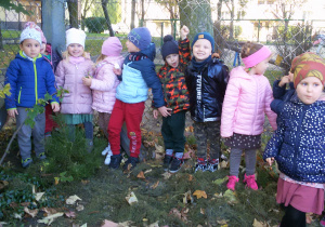 Ogród przedszkolny. Widok na grupę dzieci stojących wokół posadzonej sosny.