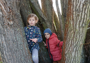 Chłopiec i dziewczynka pozują do zdjęcia wśród konarów drzewa.