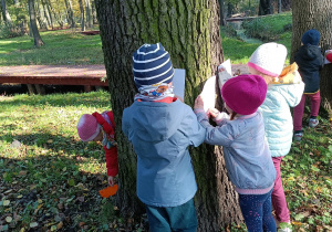 Troje dzieci stoi przy drzewie i kalkuje korę drzewa przy użyciu białej kartki i kredki.