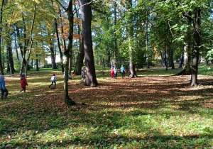 Dzieci biegają po parku między drzewami.