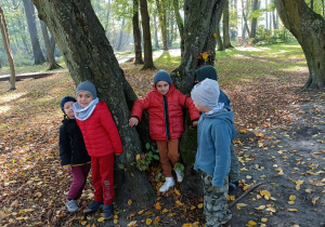 Chłopcy pozują do zdjęcia wśród konaru drzewa.