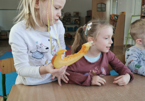 Dzieci wąchają rozkrojoną dynie, szukając podobnego zapachu.