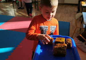 Chłopiec bierze do ręki kawałek ciasta dyniowego, następnie je zjada.