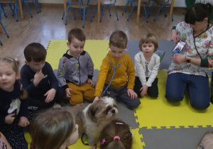 Widok na panią weterynarz i dzieci. Adaś bada pieska stetoskopem.