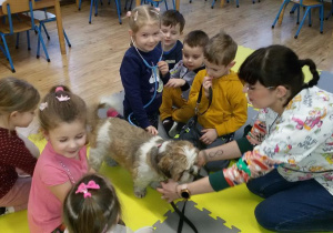 Widok na grupę dzieci i panią weterynarz. Zuzia bada pieska stetoskopem.