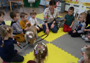 Widok na grupę siedzących w kręgu dzieci, panią weterynarz i pieska Kędziora.