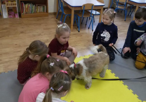 Widok na przyglądające się pieskowi dzieci.