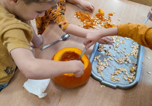 Dzieci przy stoliku wydrążają miąższ dyni posługując się łyżką. Na stole taca z pestkami dyni.