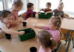 Widok na siedzące przy stolikach dzieci, które wsypują ziemię do doniczek.