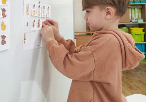 Chłopiec wykonuje zadanie przy tablicy magnetycznej, przyporządkowuje odpowiednio obrazki misiów według wielkości.