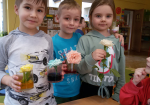 Dzieci demonstrują wyniki eksperymentu z barwieniem kwiatków.